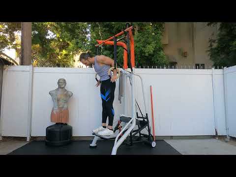 Gymnastic Rings